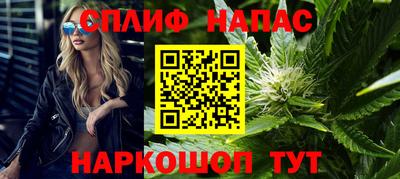 мдпв Камышлов