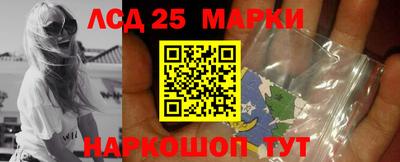 мдпв Камышлов
