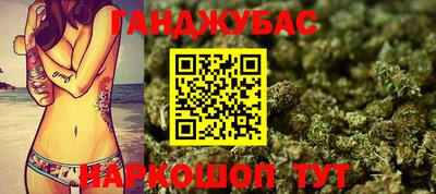 мдпв Камышлов