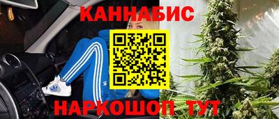 мдпв Камышлов