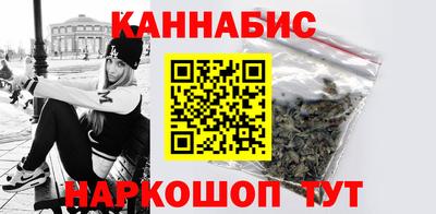 мдпв Камышлов