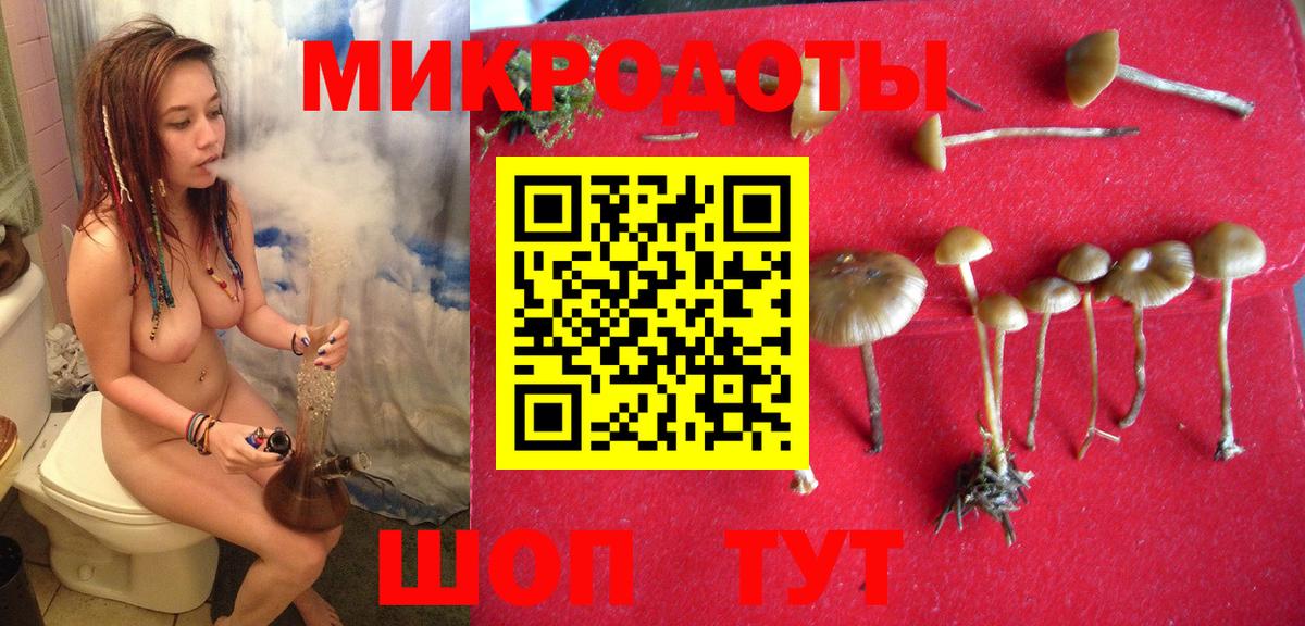 Галлюциногенные грибы MAGIC MUSHROOMS Чебаркуль