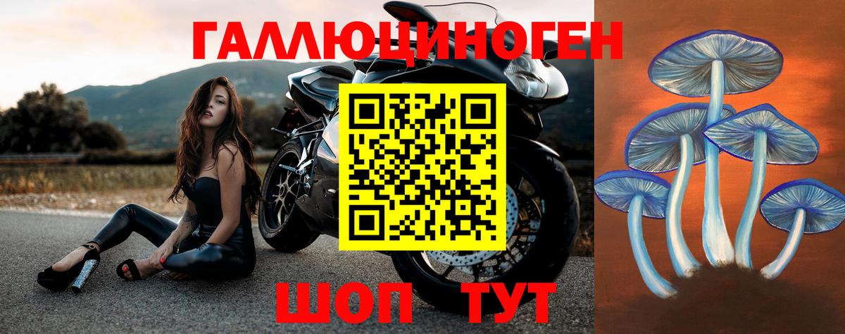 Псилоцибиновые грибы мицелий  закладки  Галлюциногенные грибы MAGIC MUSHROOMS  Чебаркуль  Вход с VPN 